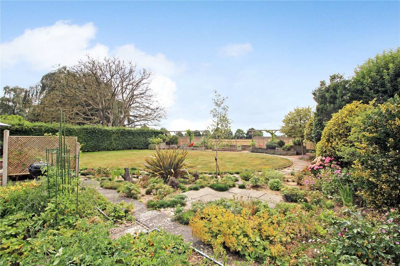 Garden